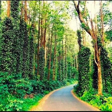 Sp Resort Inn Yercaud Luaran gambar