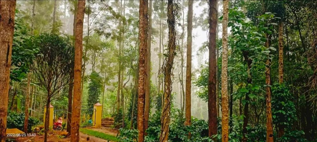 Sp Resort Inn Yercaud Luaran gambar